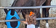 Gracie is registered to the contest to win money with this photo: toddler, child, horse, stable, animal, barn, metal_bars, blue_mask, curly_hair, orange_bow, jeans, white_shirt, feeding_tub, dirt, wood_shavings, petting, farm, outdoor, young_child, interaction