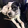 Rocko