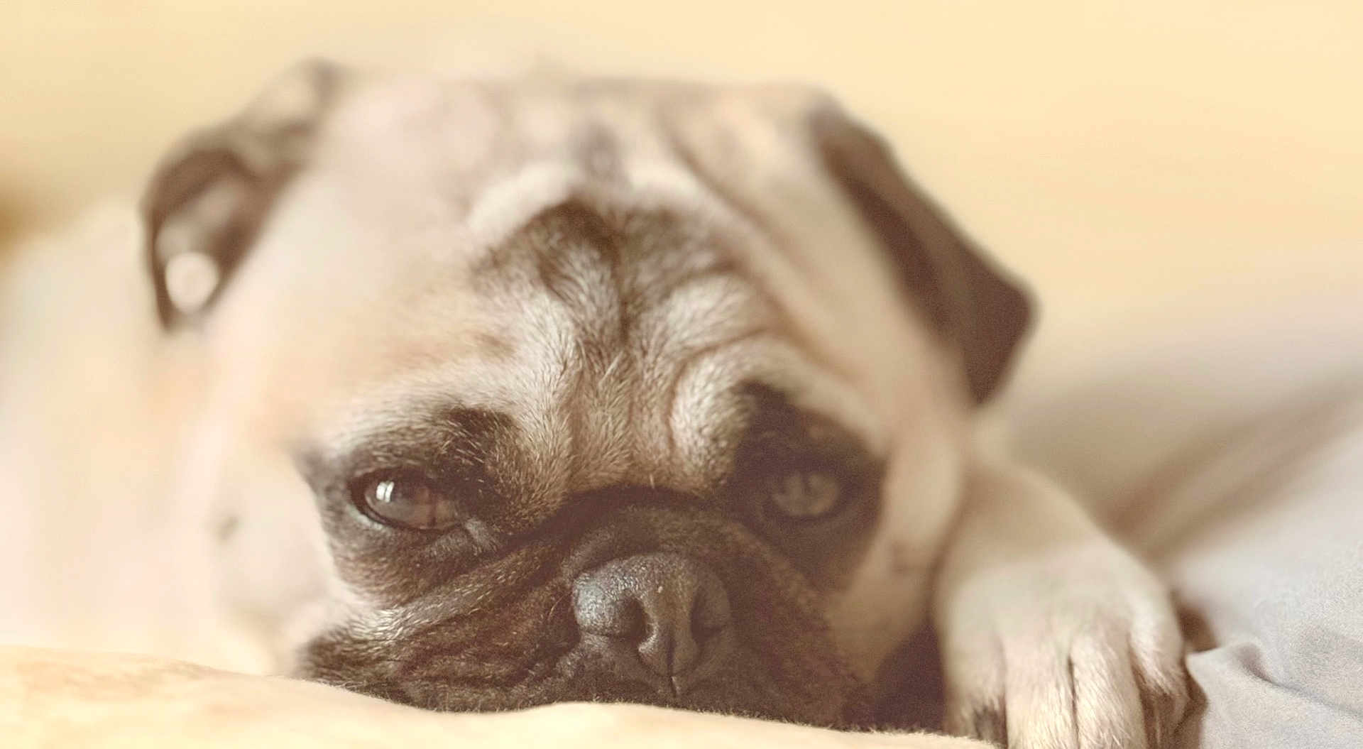 Winnie