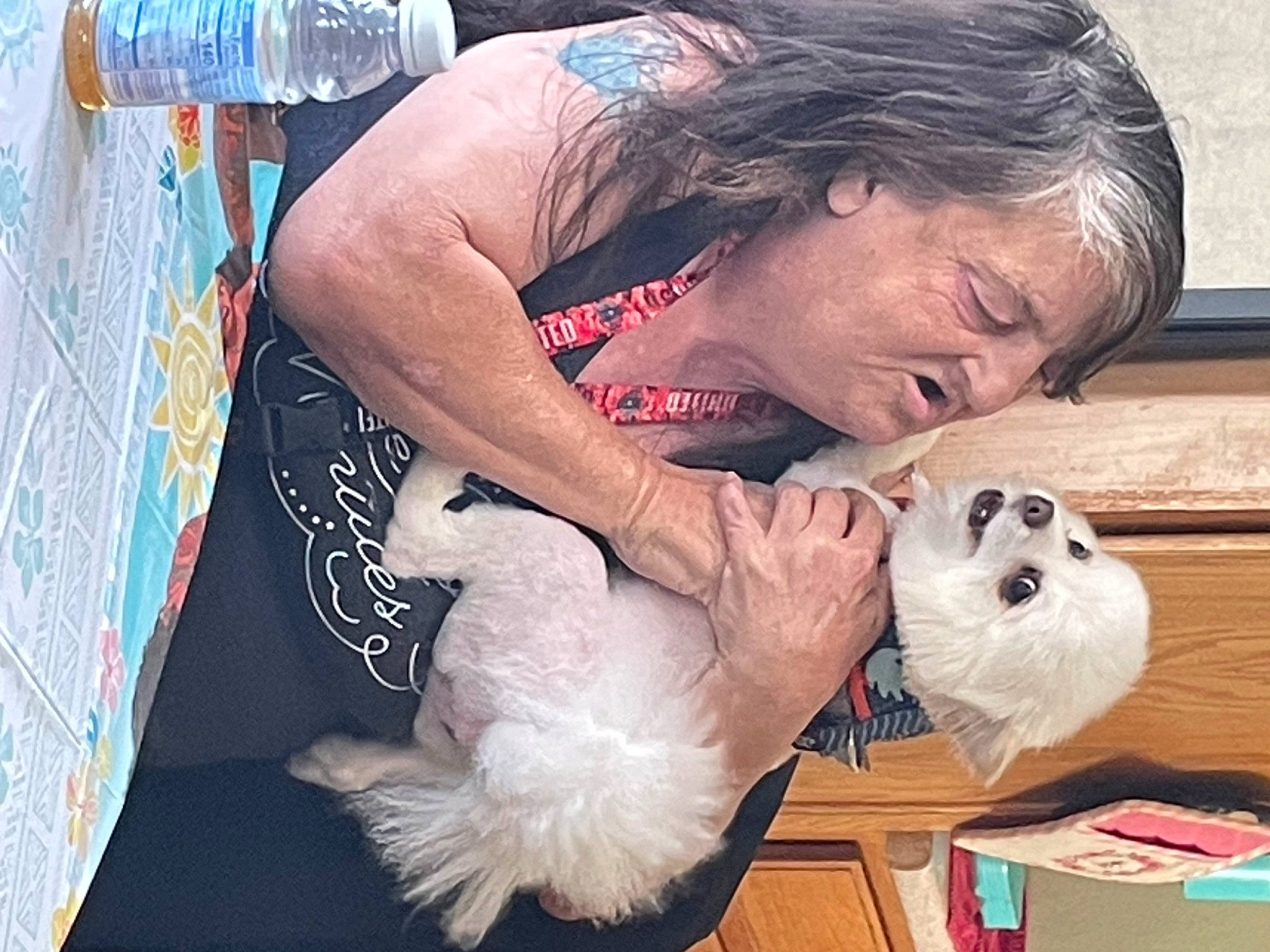 Snowball joined the competition — help win amazing prizes! art, artist, beard, chest, child, companion_dog, elbow, flesh, fur, hair, pattern, plush, sitting, stuffed_toy, visual_arts