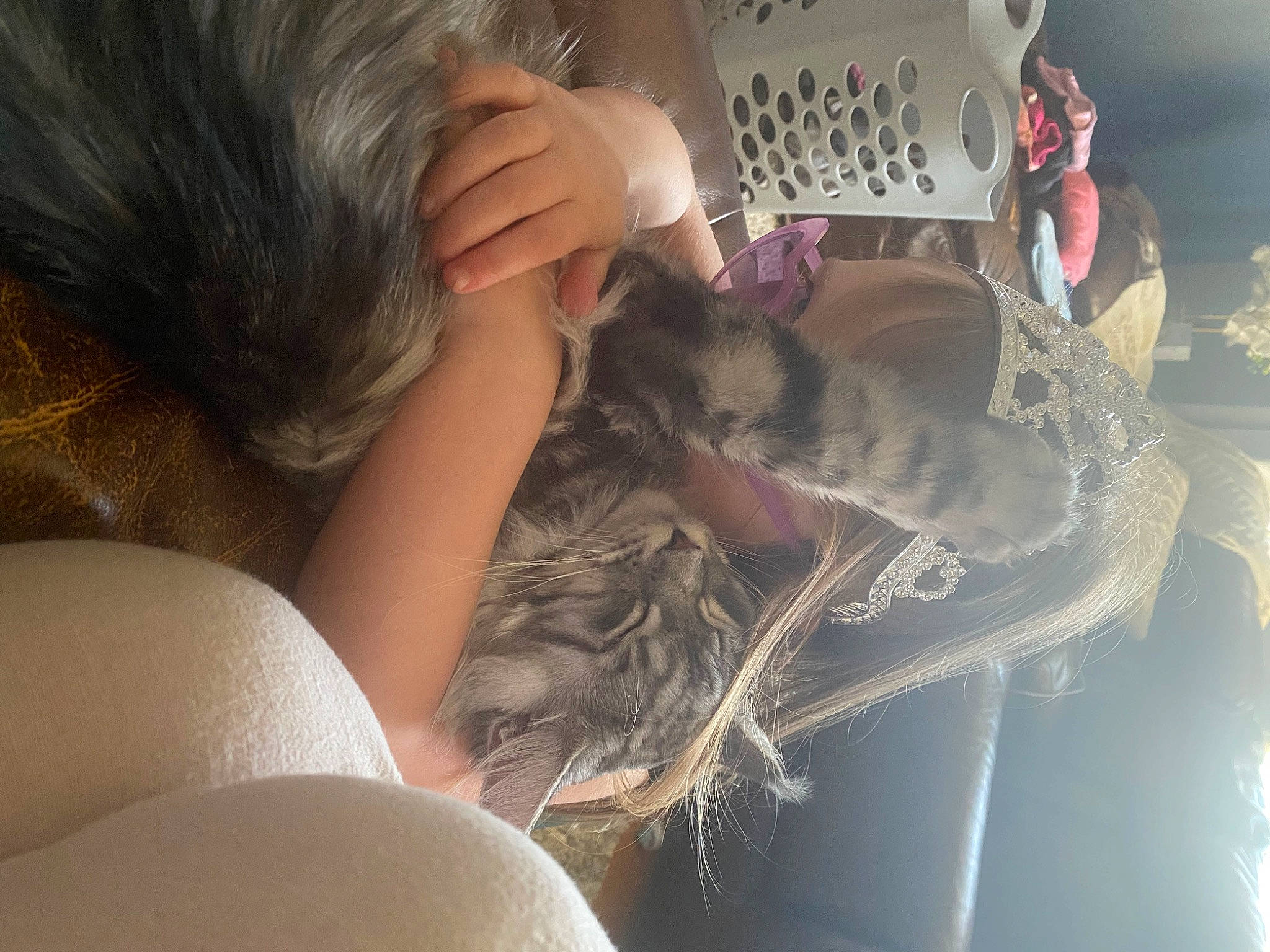 Kingston joined the competition — help win amazing prizes! bangs, black_hair, brown_hair, doll, dress, eyelash, fashion_design, felidae, finger, fur, hair, hairstyle, hand, happy, head, long_hair, nail, skin, toy, wrist