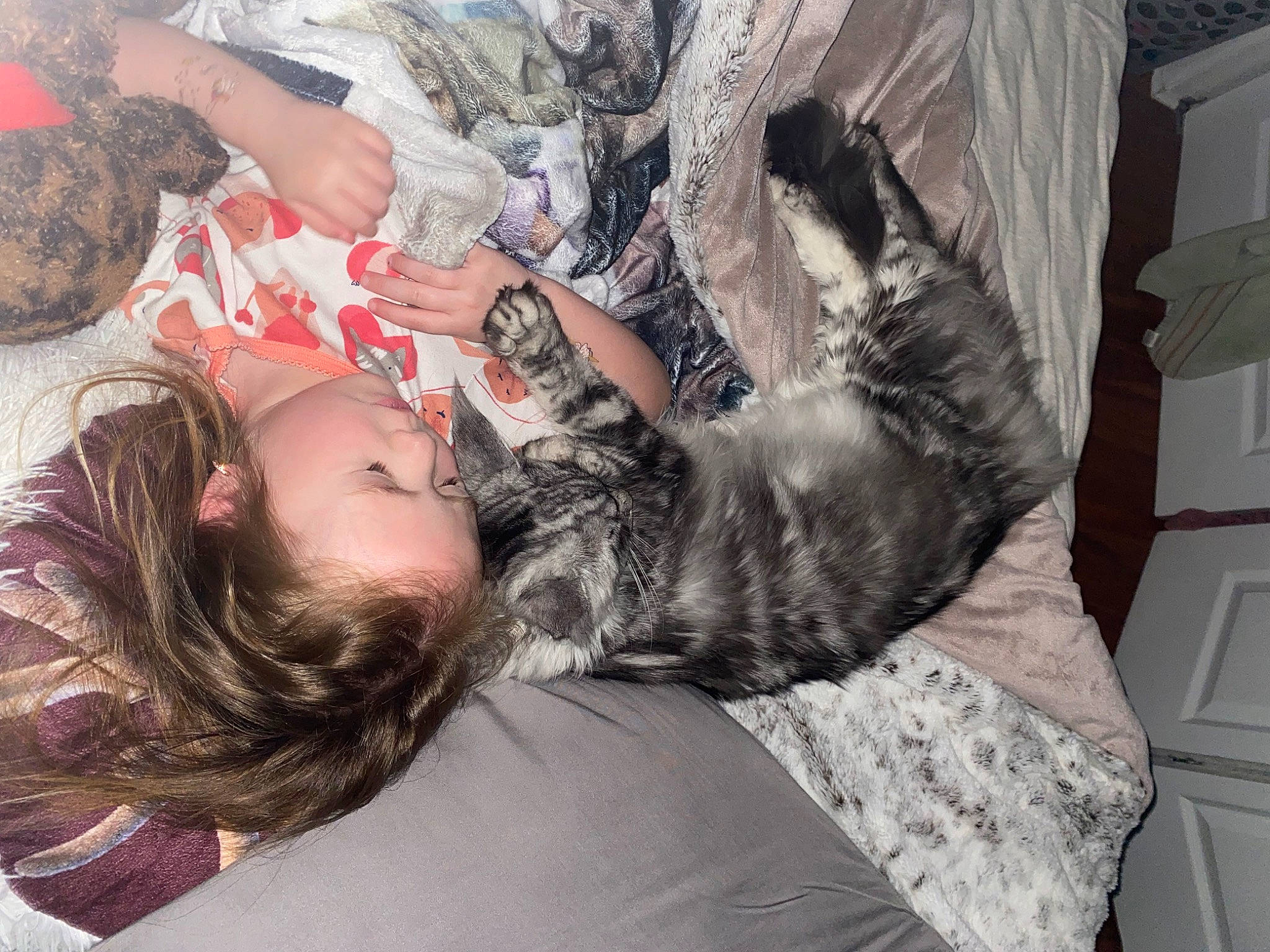 Kingston is registered to the contest to win money with this photo: bed, canidae, carnivore, cat, comfort, dog_breed, domestic_short_haired_cat, felidae, fur, gesture, grey, human_leg, interaction, long_hair, military_camouflage, small_to_medium_sized_cats, sporting_group, thigh, tree, whiskers