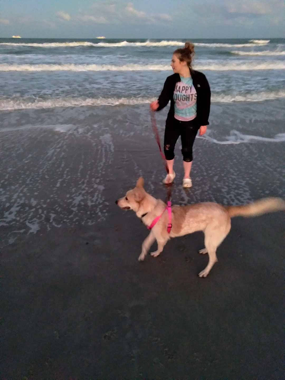 Carmella joined the competition — help win amazing prizes! beach, canidae, carnivore, cloud, companion_dog, dog, dog_breed, fawn, fun, happy, leg, leisure, recreation, sand, sky, sporting_group, tail, thigh, water, wind_wave