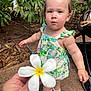 Svetlana is registered to the contest to win money with this photo: toddler, child, flower, outdoor, greenery, plants, dress, purple_bow, hair_accessory, white_sandal, curious, nature, person, baby, summer, plantation, sidewalk, stroller, hand, leaf