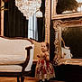 toddler, child, dress, formal_wear, red_dress, gold_ornament, mirror, chandelier, sofa, antique_furniture, wooden_floor, indoor, portrait, curious, elegant, luxury, reflection, shoes, person, decor