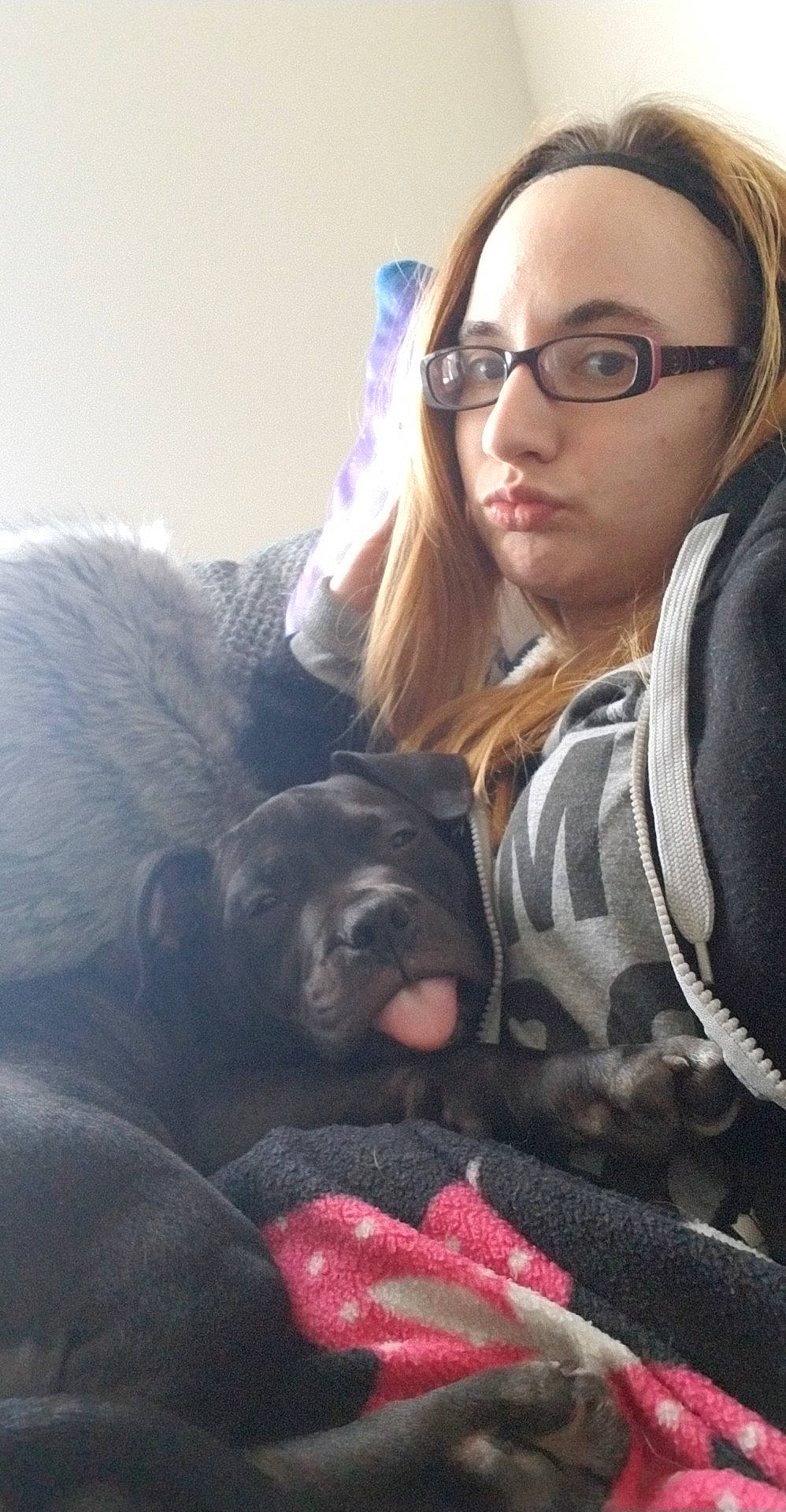 Onyx joined the competition — help win amazing prizes! canidae, carnivore, companion_dog, dog, dog_breed, ear, fawn, glasses, nose, person, photography, puppy, puppy_love, selfie, smile, sporting_group