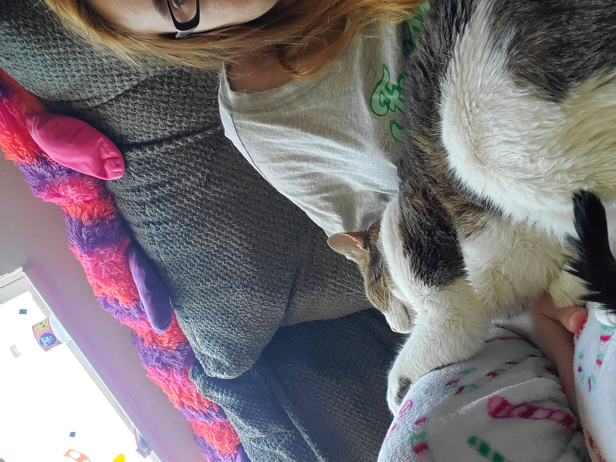 Jaila joined the competition — help win amazing prizes! beard, carnivore, cat, comfort, companion_dog, eyewear, felidae, glasses, goggles, pattern, plaid, selfie, small_to_medium_sized_cats, sunglasses, tail, textile, whiskers, white, wool, woolen