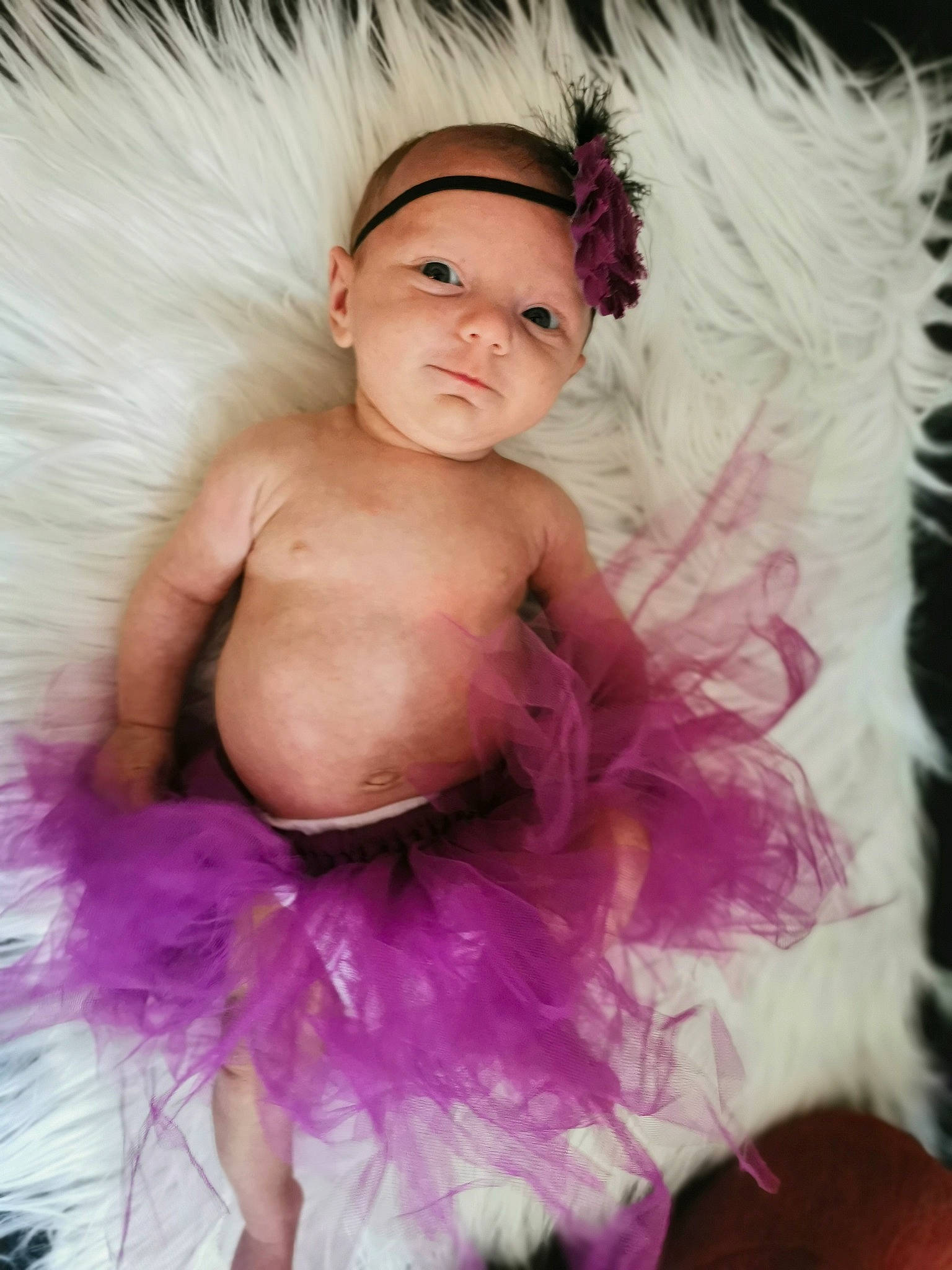 Amara participe au concours pour gagner de l'argent avec cette photo : baby, ballet_tutu, child, costume, costume_accessory, face, feather_boa, fictional_character, fur, hair_accessory, headwear, lilac, person, photography, pink, purple, toddler, wing