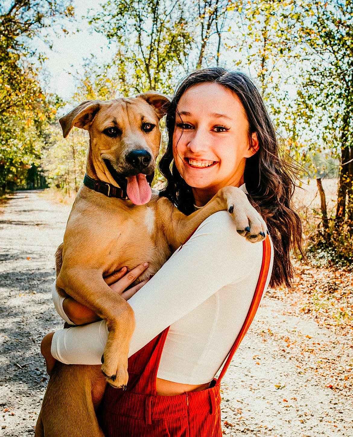 Comit joined the competition — help win amazing prizes! carnivore, companion_dog, dog, dog_breed, dog_hiking, fawn, flash_photography, fun, grass, happy, hound, leisure, people_in_nature, plant, recreation, sky, smile, sporting_group, tree, working_animal