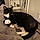 Binx