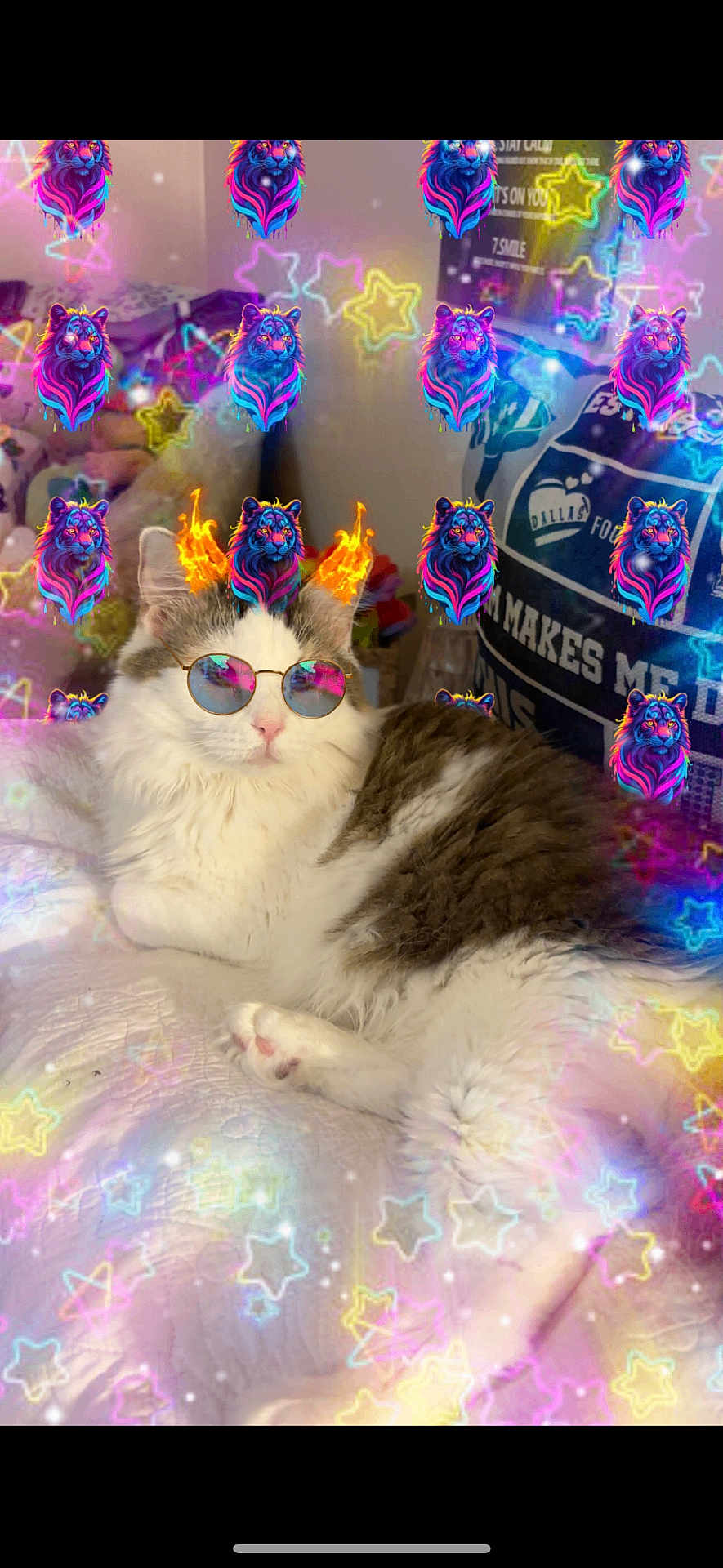 Ms. Sadie Marie is registered to the contest to win money with this photo: animal, bed, cat, cozy, cute, digital_effects, fire, fluffy, fur, gray, indoor, lion_head, neon, pet, playful, portrait, relaxed, stars, sunglasses, white