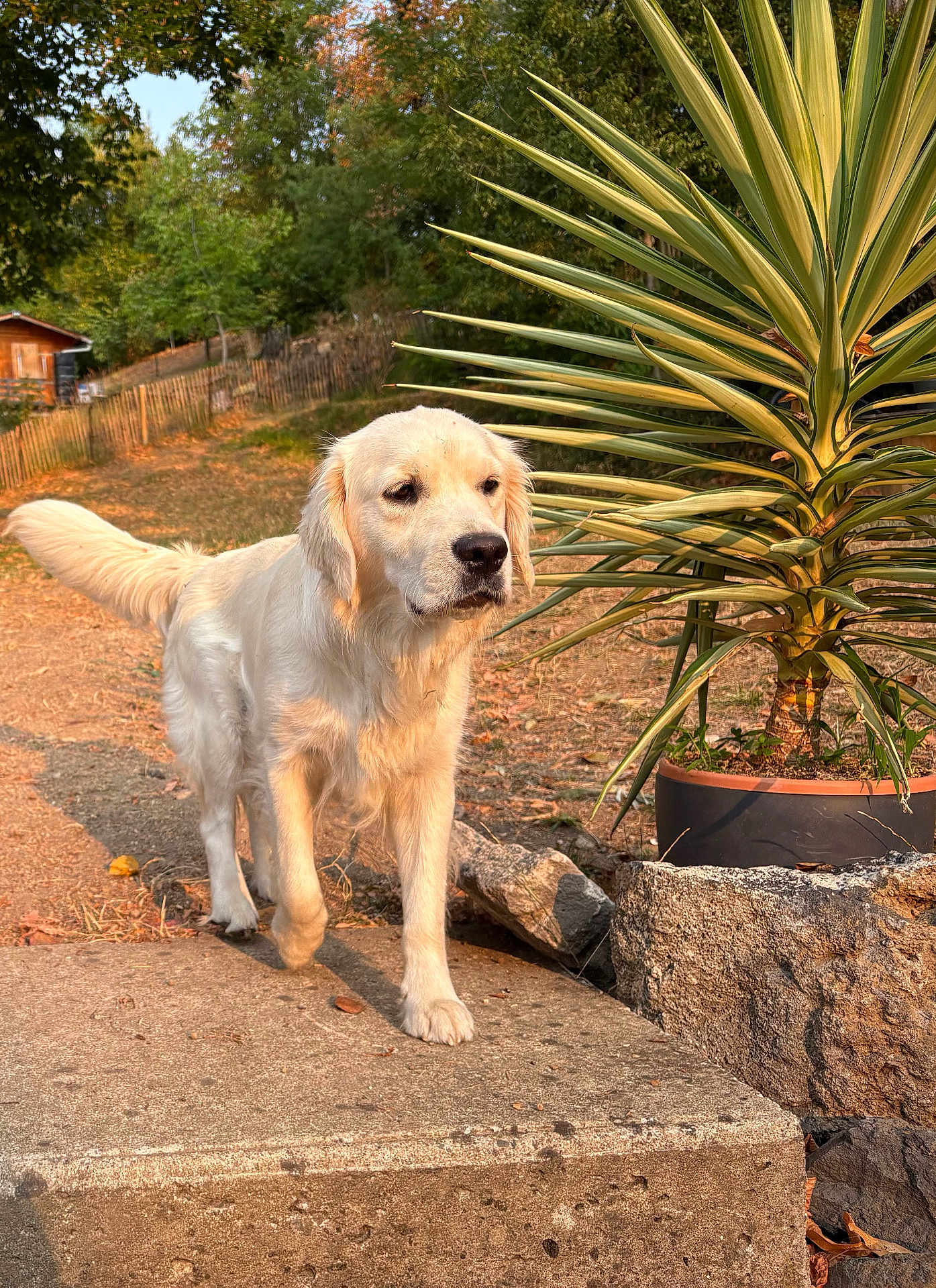 Nallah