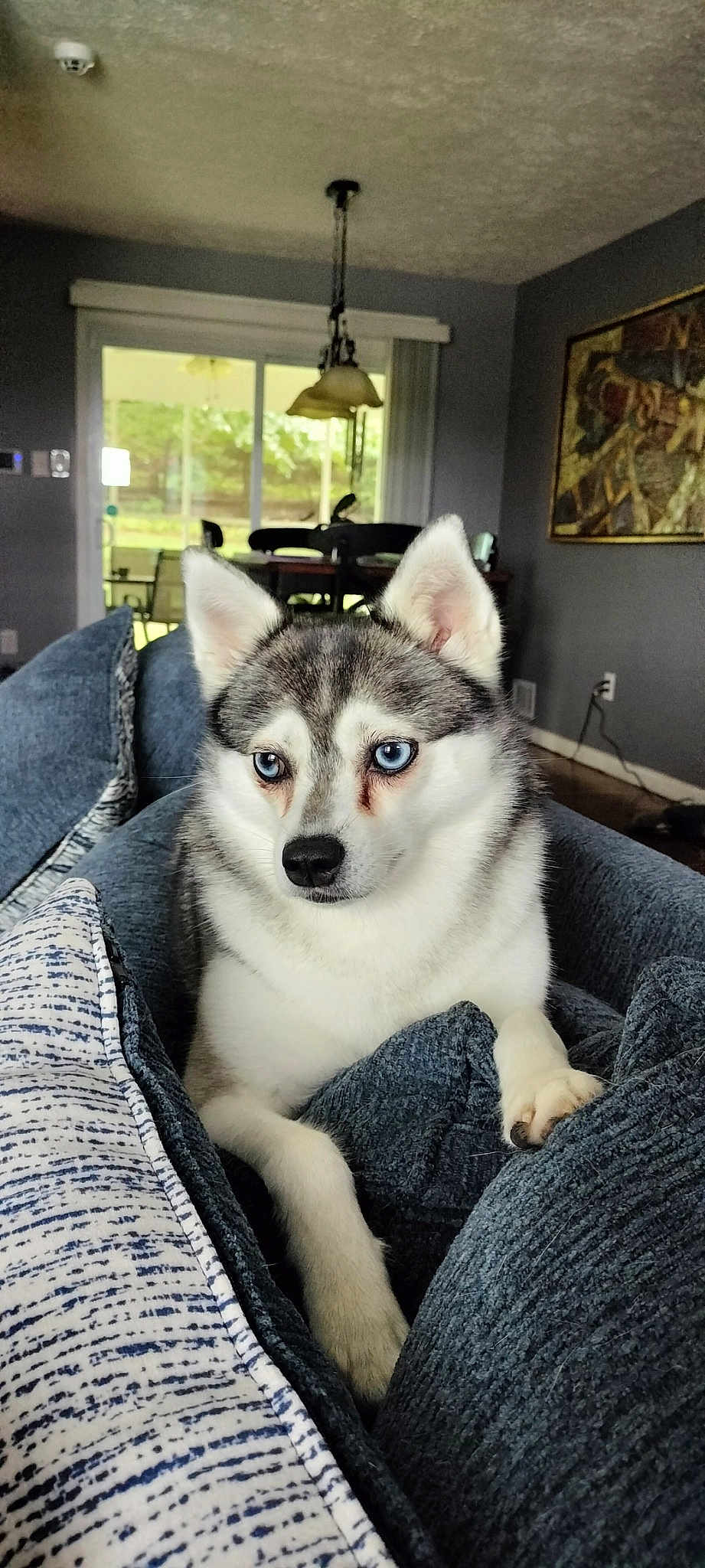 Alaska