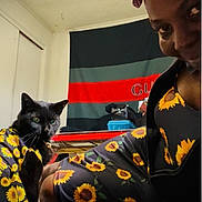 Blacgirl is registered to the contest to win money with this photo: black_cat, carpet, cat, cute, fabric, face, flag, floor, fur, green_eyes, home, indoor, outfit, person, pet, portrait, smile, sunflower_pattern, table, wall