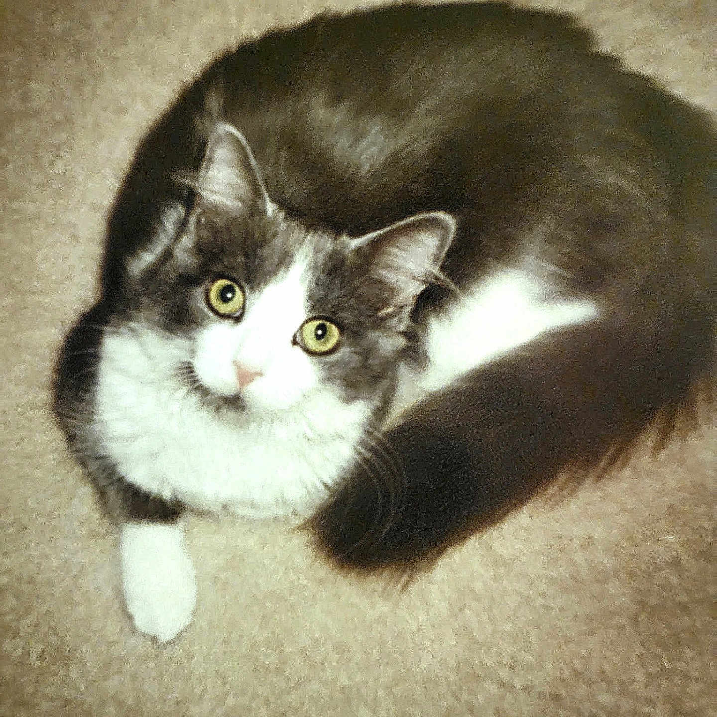 Pookah Nana Crawford