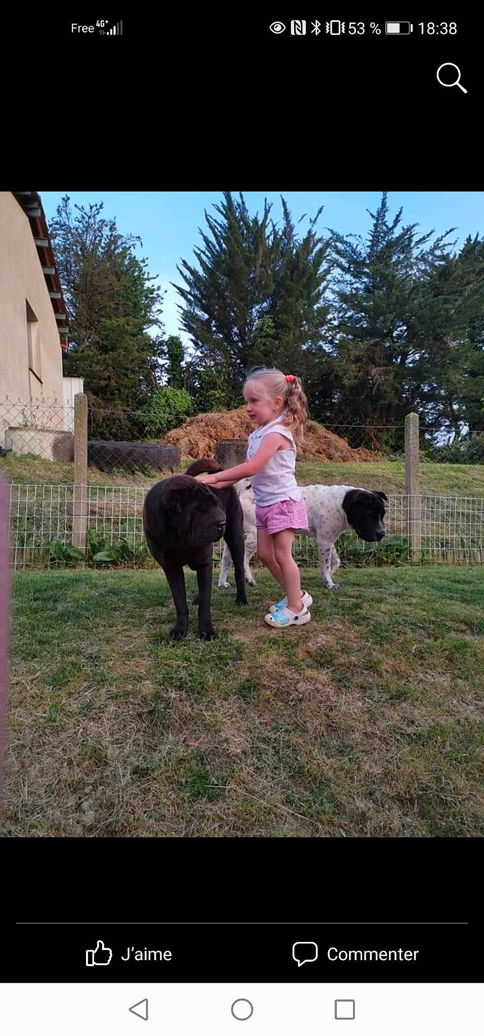 Jeanne a rejoint le concours — aidez-le/la à gagner de superbes lots ! companion_dog, dog_breed, dress, fawn, fence, fun, grass, grassland, happy, landscape, livestock, pasture, person, plant, shorts, sky, sporting_group, toddler, tree, vertebrate