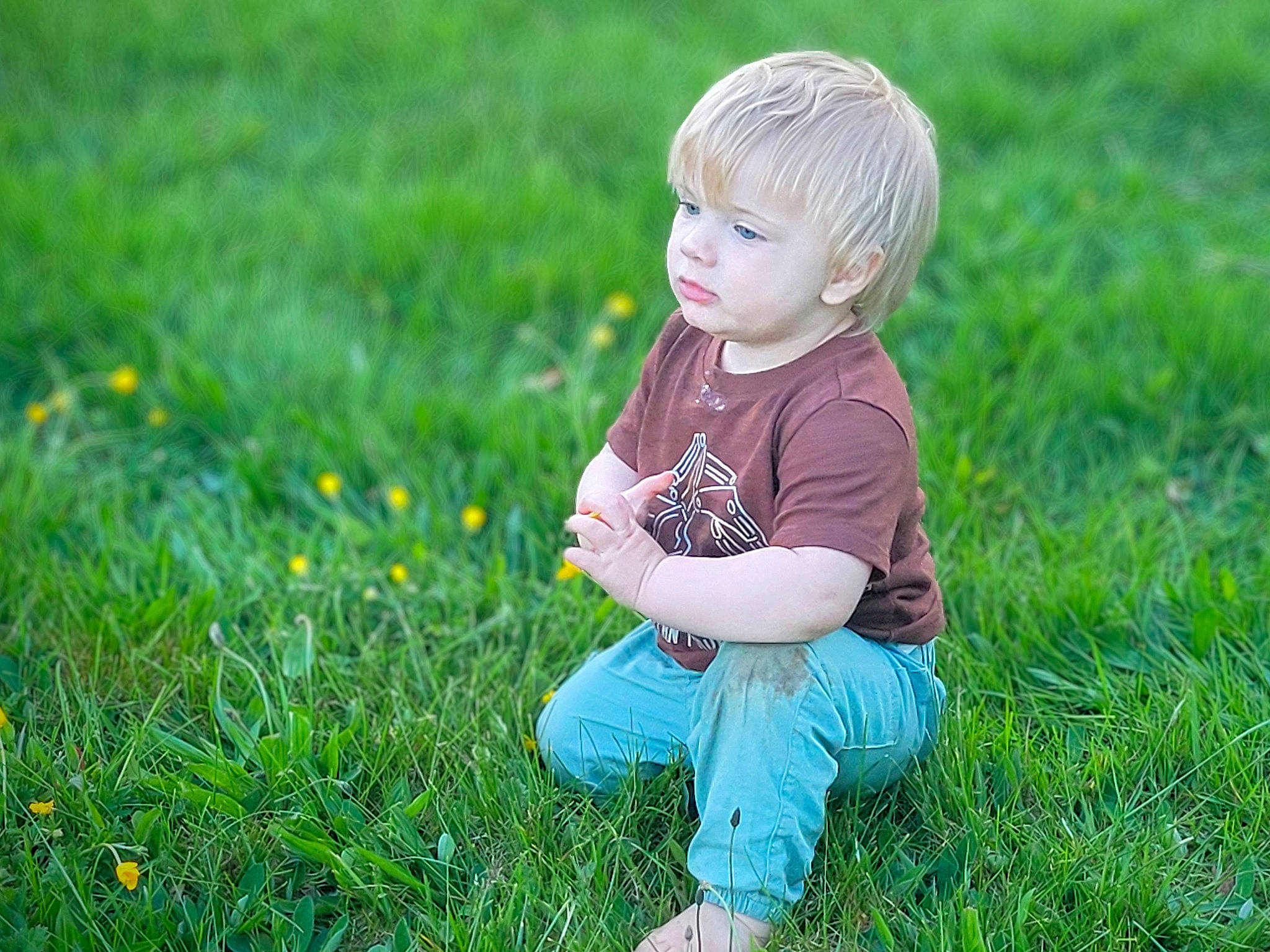 Roman joined the competition — help win amazing prizes! baby_toddler_clothing, child, facial_expression, flower, fun, grass, grass_family, grassland, groundcover, happy, lawn, leisure, meadow, natural_environment, people_in_nature, person, plant, prairie, sitting, t_shirt