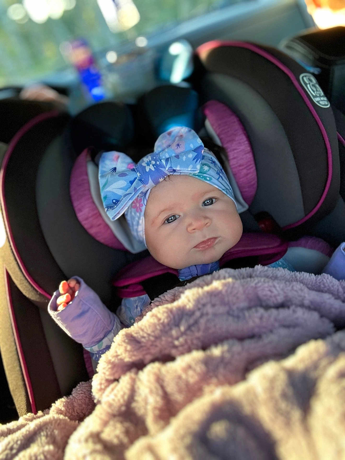 Syris joined the competition — help win amazing prizes! baby, blanket, bonnet, cap, car, clothing, coat, cushion, face, glove, hat, head, homedecor, jacket, person, photography, portrait, purple, transportation, vehicle