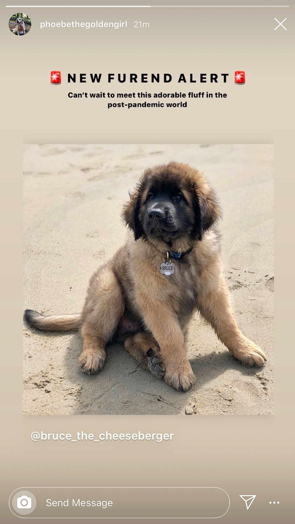 Bruce