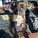 Gunther