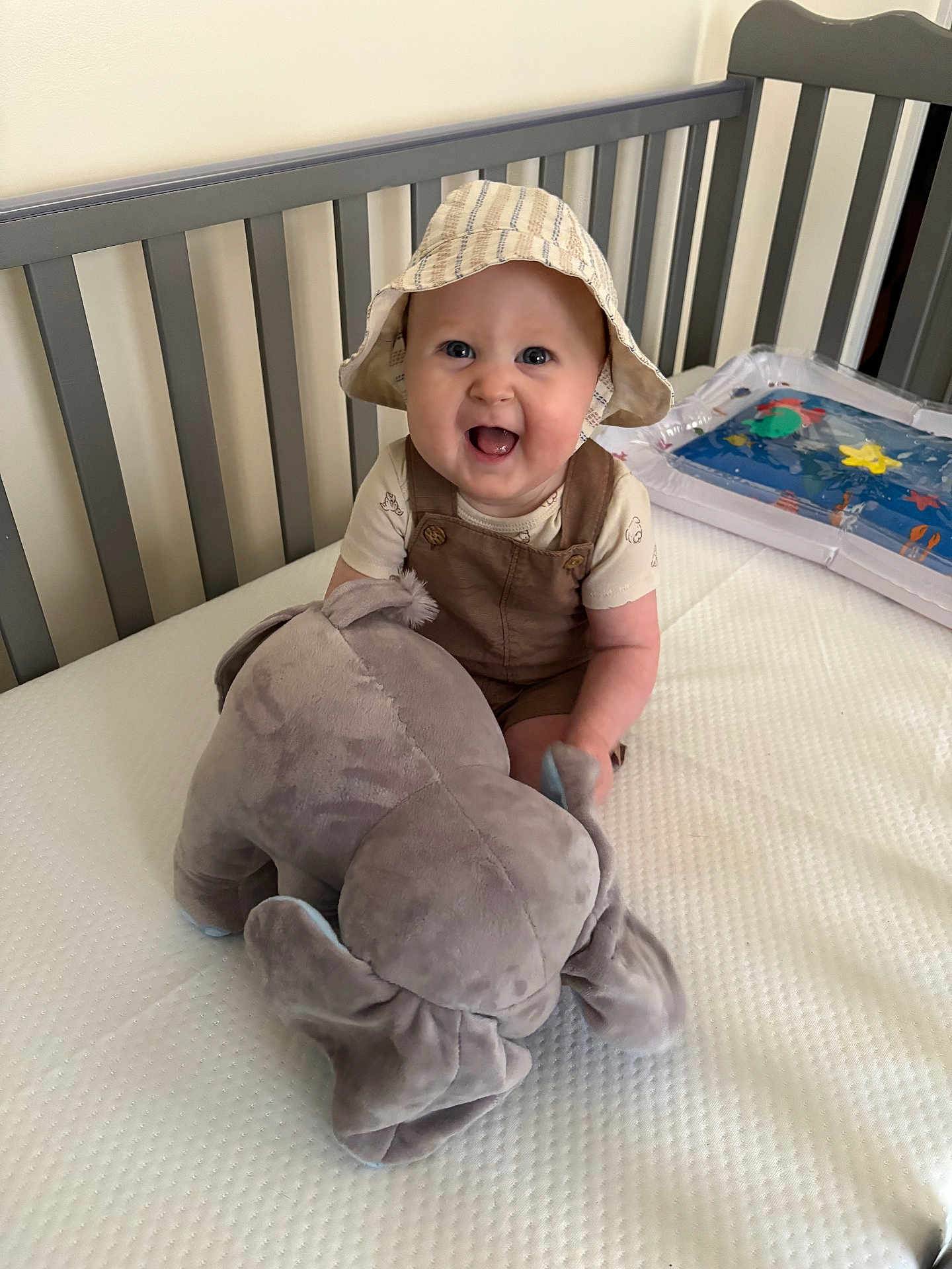 Mikey joined the competition — help win amazing prizes! baby, child, smiling, hat, bucket_hat, plush_toy, elephant, crib, nursery, overalls, white_wall, mattress, water_play_mat, happy, sitting, indoor, cute, person, infant, toy
