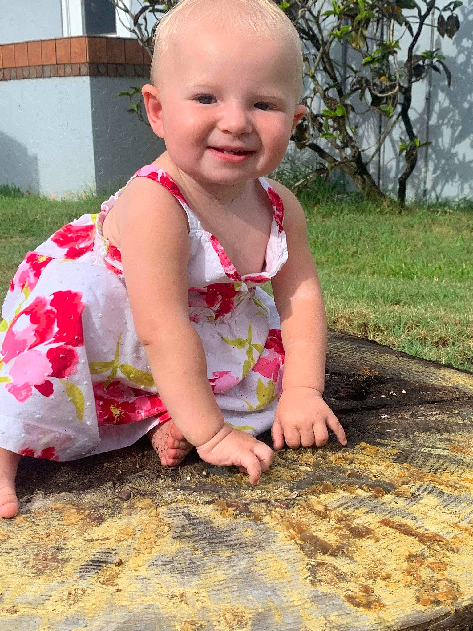 Ava is registered to the contest to win money with this photo: baby, baby_laughing, baby_toddler_clothing, beauty, cheek, child, dress, eye, face, grass, happy, head, joy, leaf, leisure, people_in_nature, person, pink, plant, smile