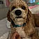 Charlie