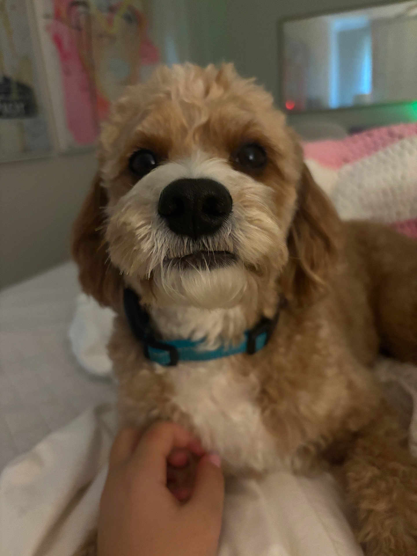 Charlie