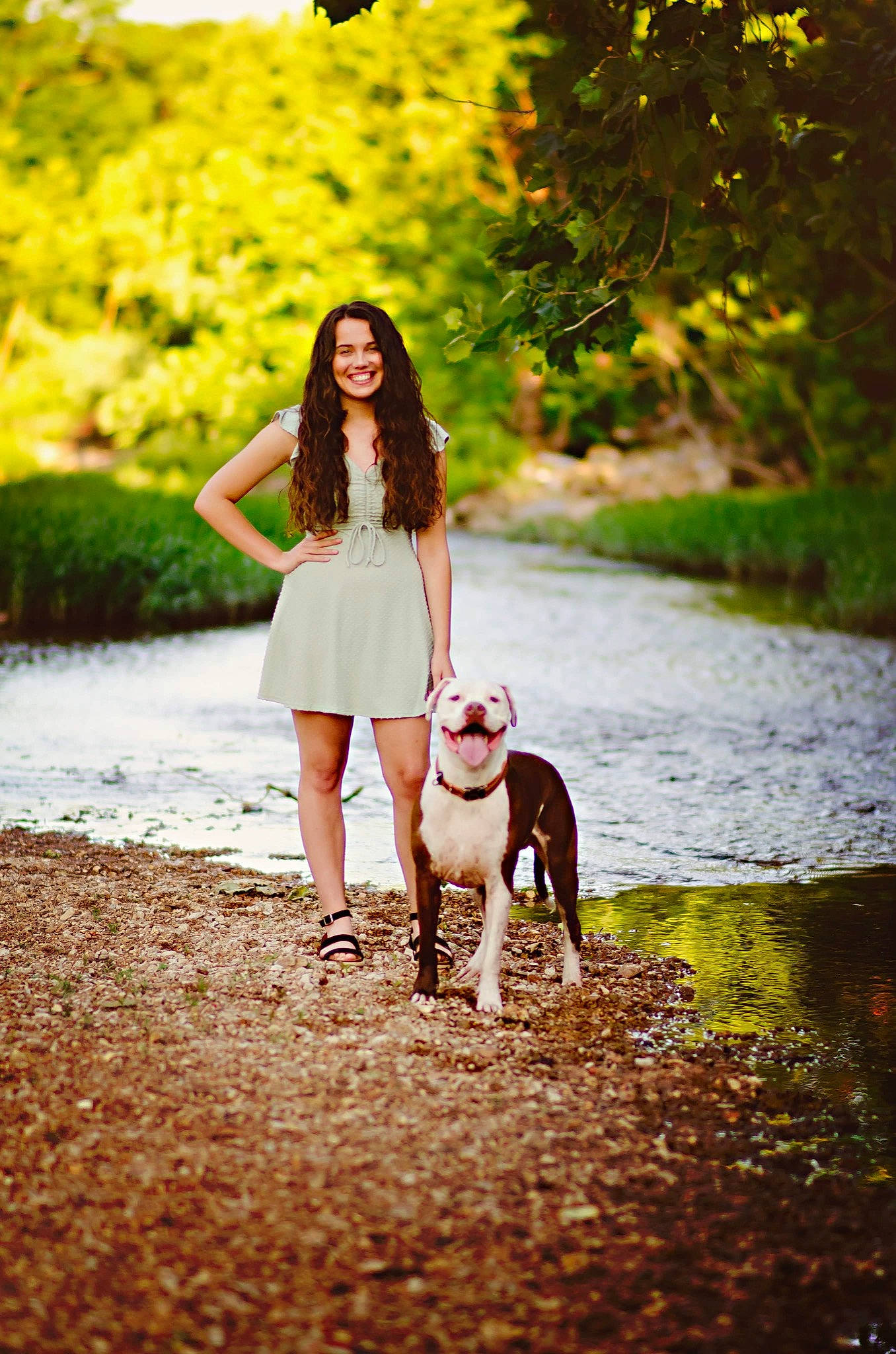 Diesel is registered to the contest to win money with this photo: carnivore, companion_dog, dog, dog_breed, eyewear, fawn, flash_photography, grass, happy, leg, leisure, people_in_nature, plant, shoe, summer, sunlight, tree, waist, woody_plant, yellow