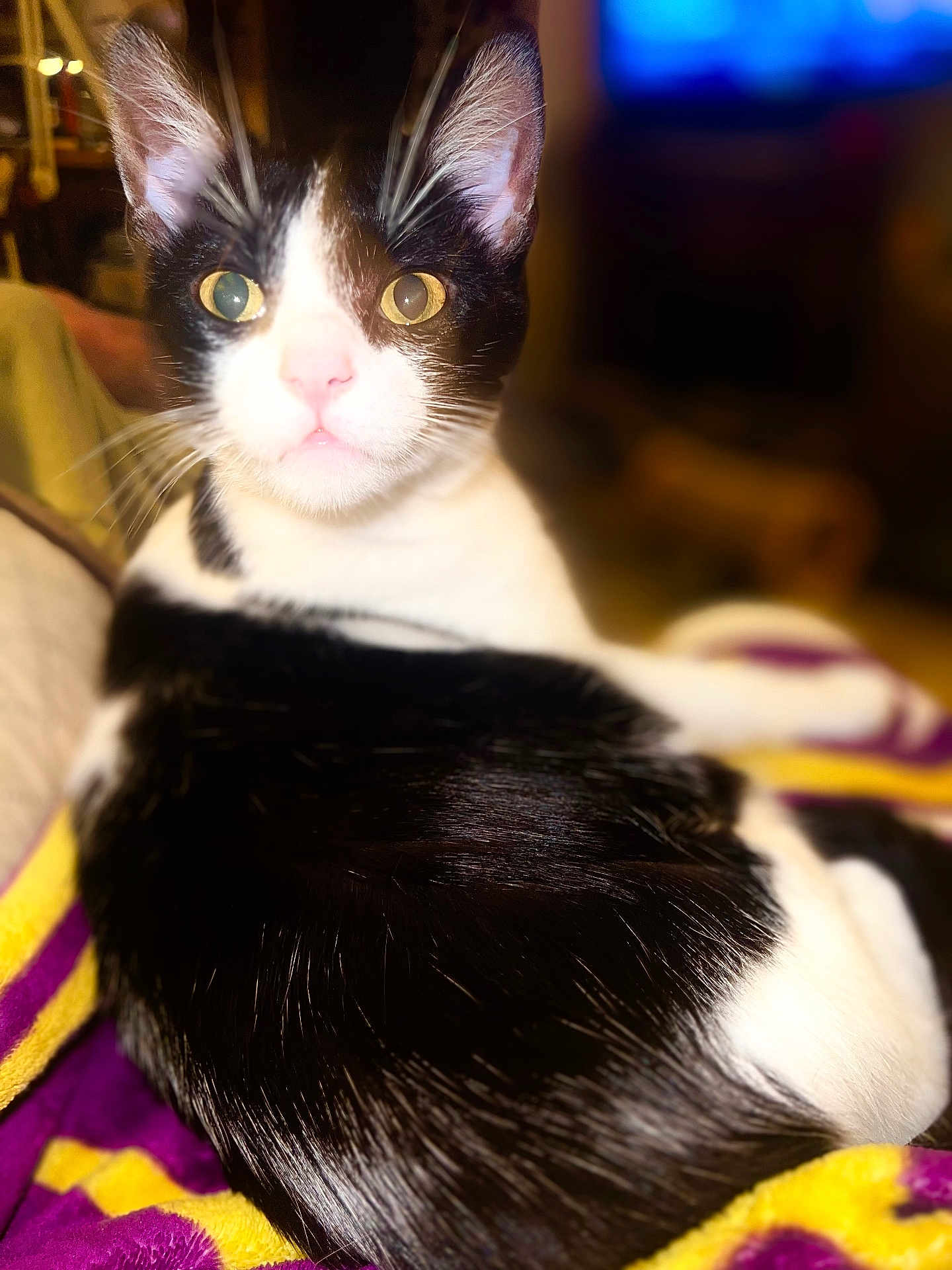 Lilbit