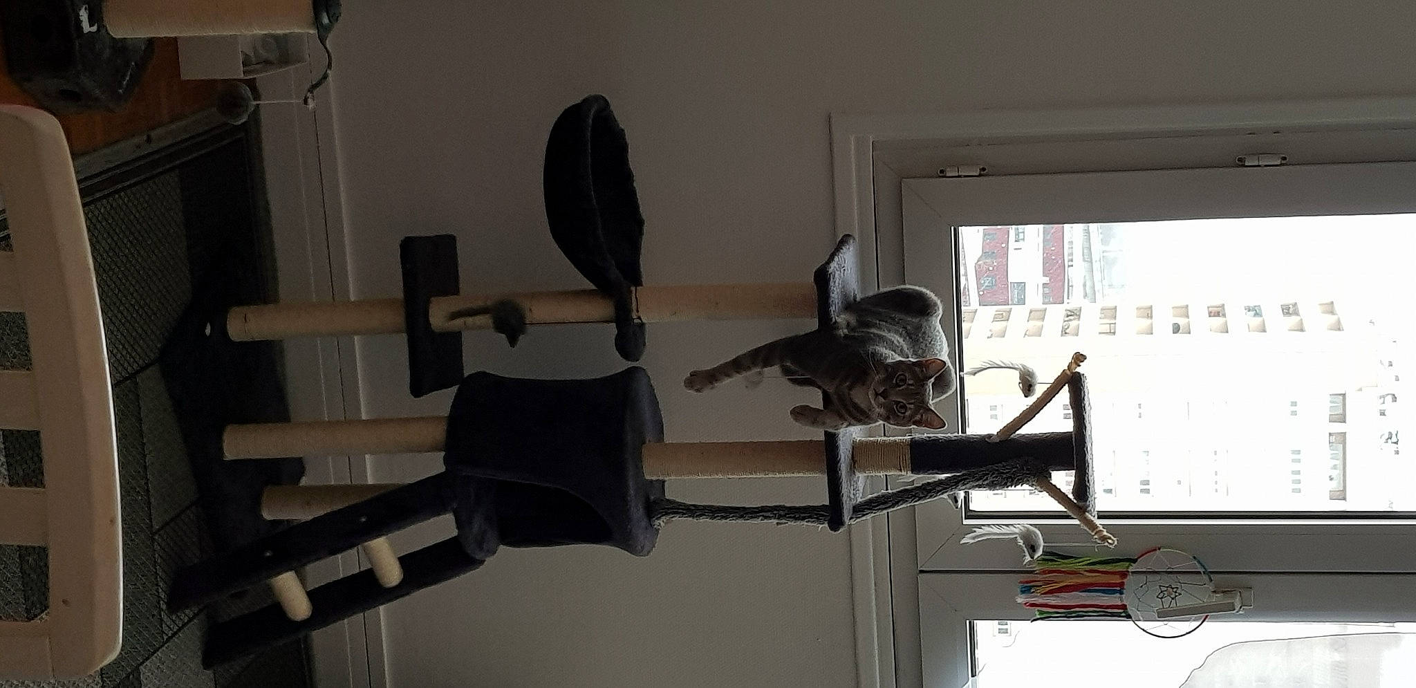 Billie a rejoint le concours — aidez-le/la à gagner de superbes lots ! building, ceiling, electrical_wiring, flooring, hardwood, hat, machine, metal, room, window, wood