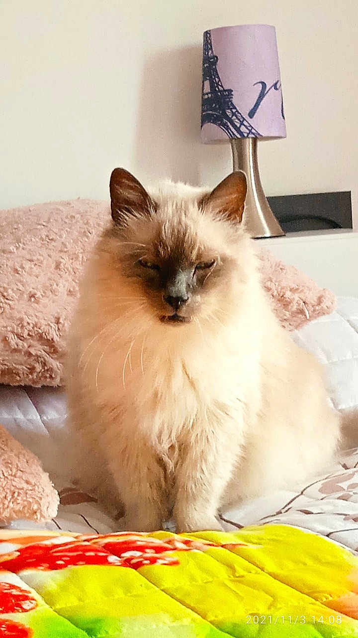 Pépère