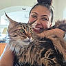 Raikou joined the competition — help win amazing prizes! archway, cat, closeup, cozy, feline, fluffy_cat, furniture, green_eyes, hair_bun, hand_holding, happy, home, indoor, lamp, light, maine_coon, person, pet, portrait, smile