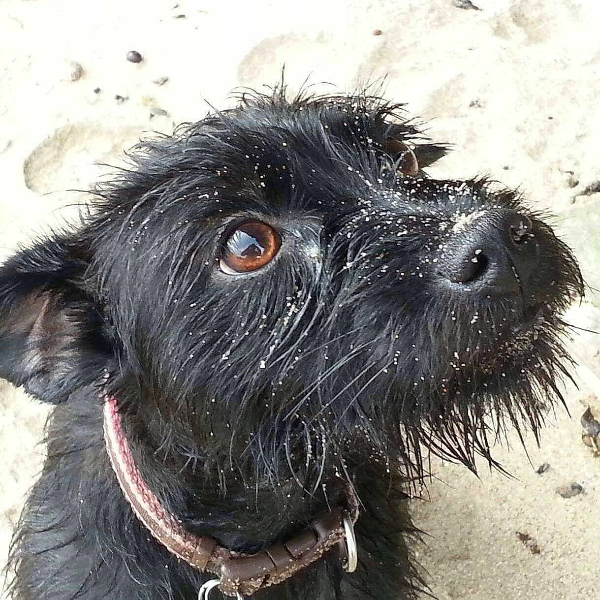 Mac is registered to the contest to win money with this photo: