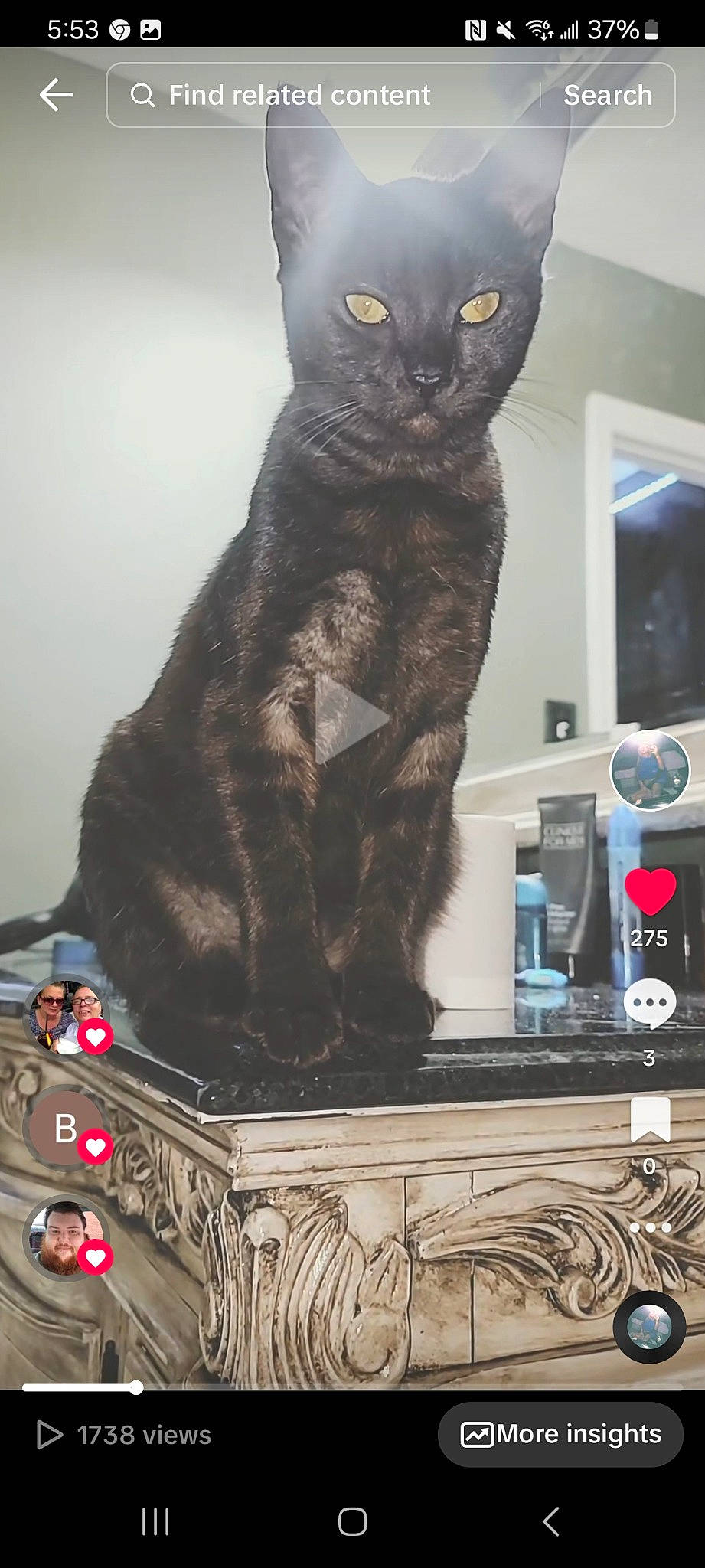 Presley joined the competition — help win amazing prizes! art, audio_equipment, black_cat, box, cat, domestic_short_haired_cat, electronic_device, electronic_instrument, felidae, fur, gadget, grey, machine, metal, paw, room, small_to_medium_sized_cats, tail, technology, whiskers