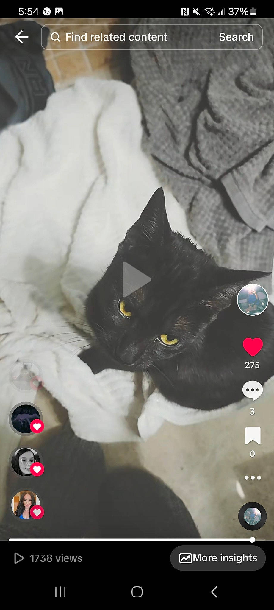 Presley joined the competition — help win amazing prizes! bag, black, black_cat, carnivore, cat, circle, comfort, domestic_short_haired_cat, felidae, fur, grey, linens, pattern, paw, personal_protective_equipment, small_to_medium_sized_cats, snout, tail, whiskers, white