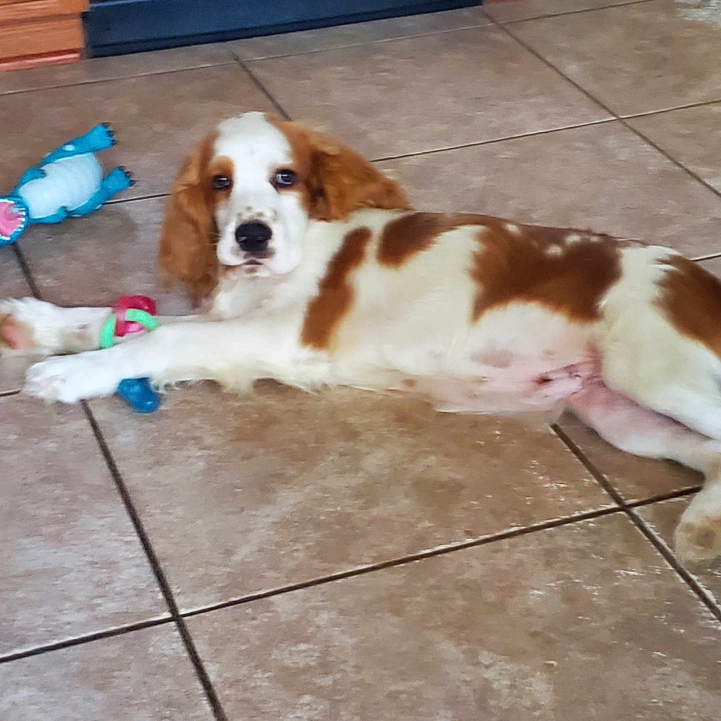 Benny
