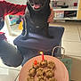 dog, pug, black_dog, pet, birthday, candles, treats, paw_shaped, plate, blue_ottoman, person, hand, living_room, shelf, game_controller, floor, tile_floor, smiling, indoor, celebration
