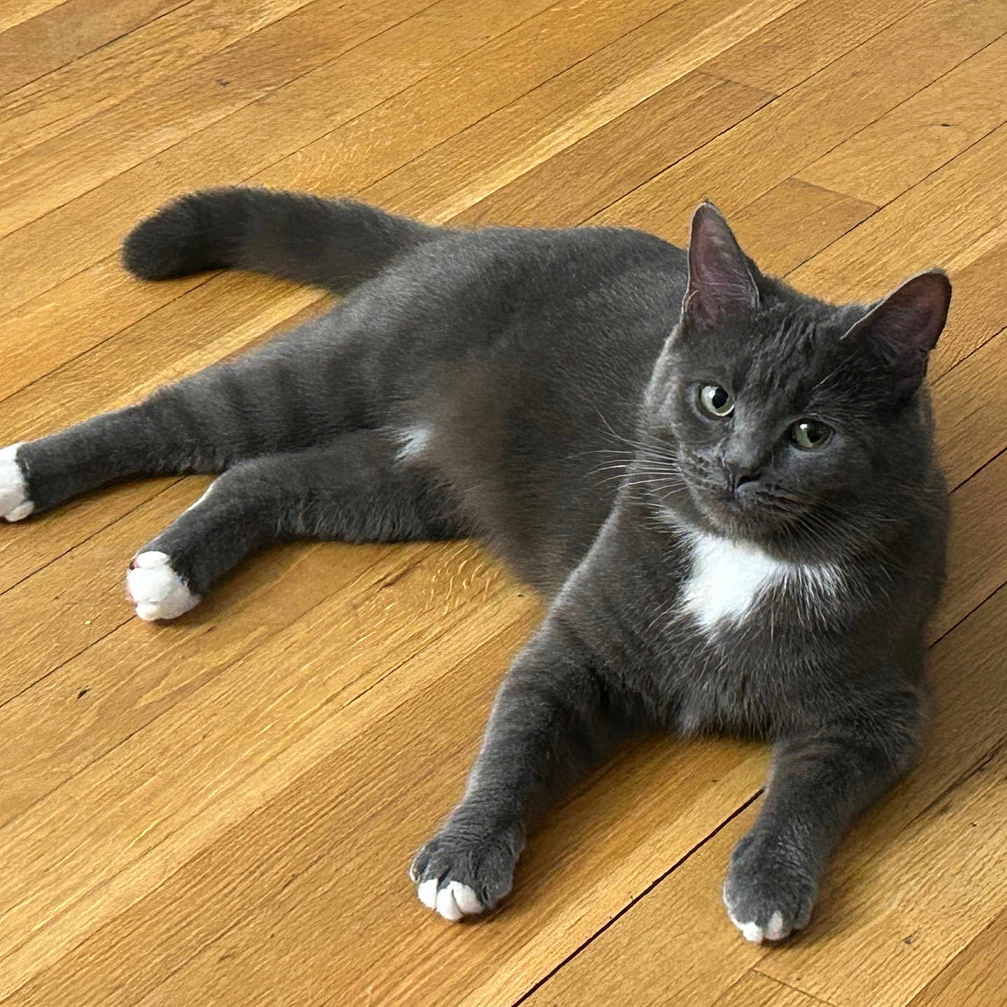 Charlie