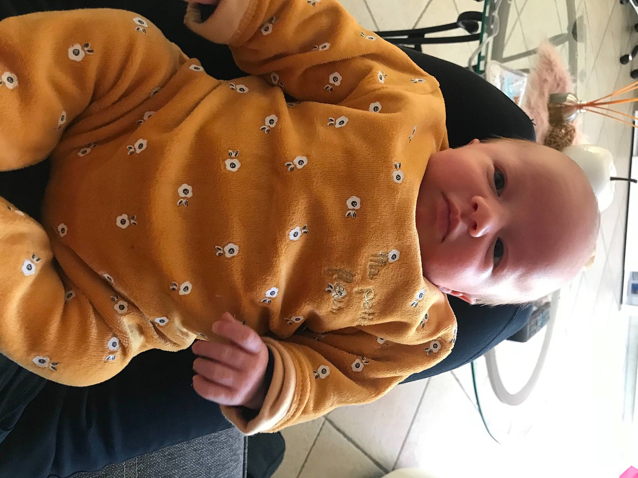 Maël a rejoint le concours — aidez-le/la à gagner de superbes lots ! baby, canidae, cheek, child, ear, fawn, jacket, neck, nose, outerwear, person, skin, toddler