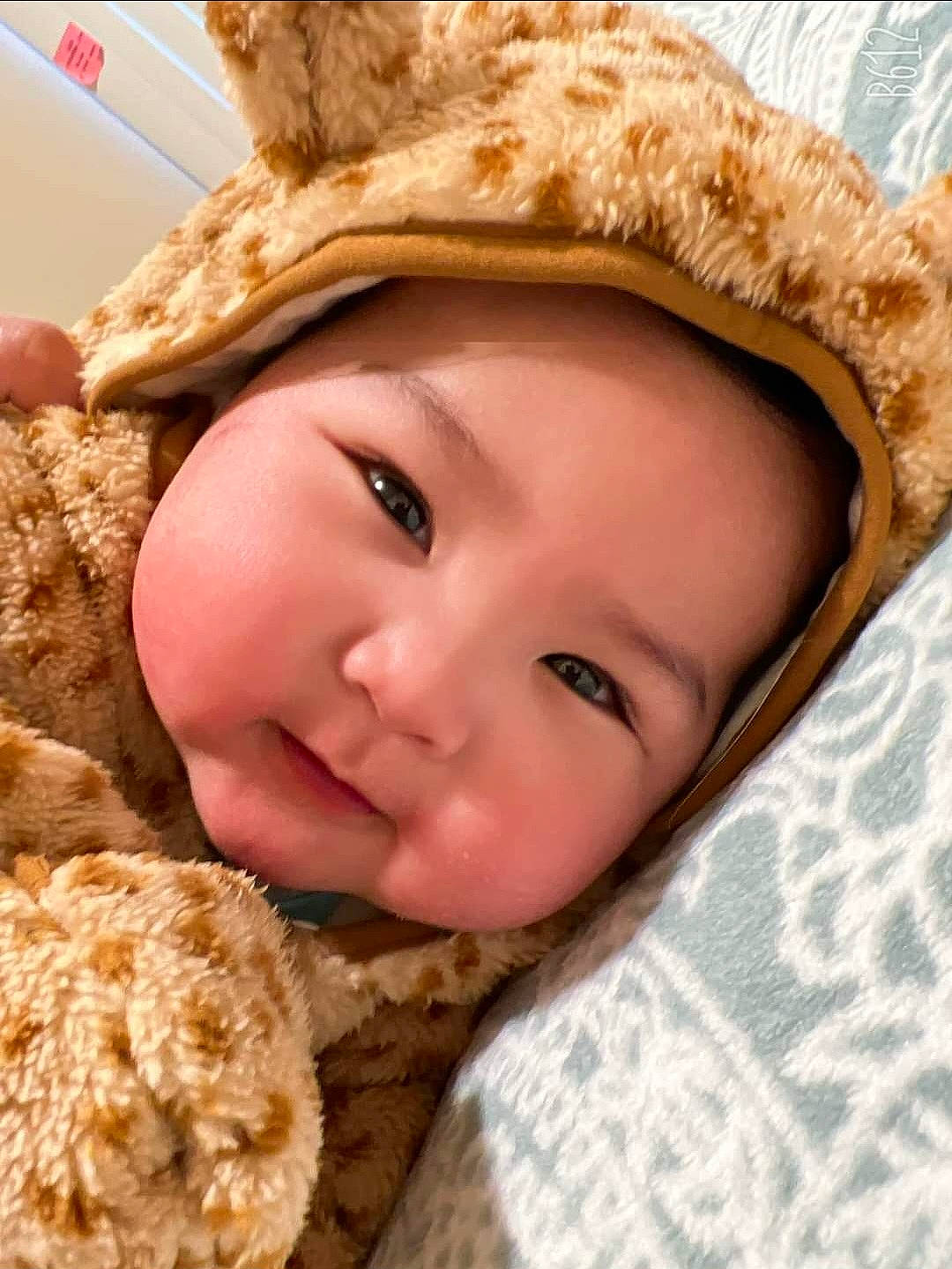 Jaiden joined the competition — help win amazing prizes! baby, cap, eye, face, fedora, fur, happy, hat, head, headgear, headwear, lip, mammal, nose, person, skin, smile, sun_hat, textile, toddler