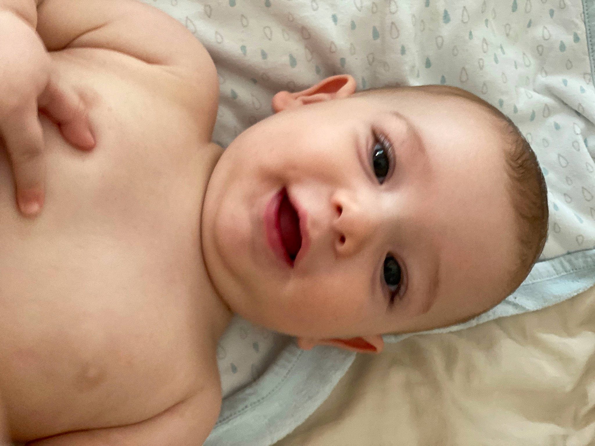 Noah a rejoint le concours — aidez-le/la à gagner de superbes lots ! cheek, chin, eye, eyebrow, eyelash, face, facial_expression, forehead, gesture, head, human, iris, lip, mammal, mouth, muscle, neck, nose, person, skin