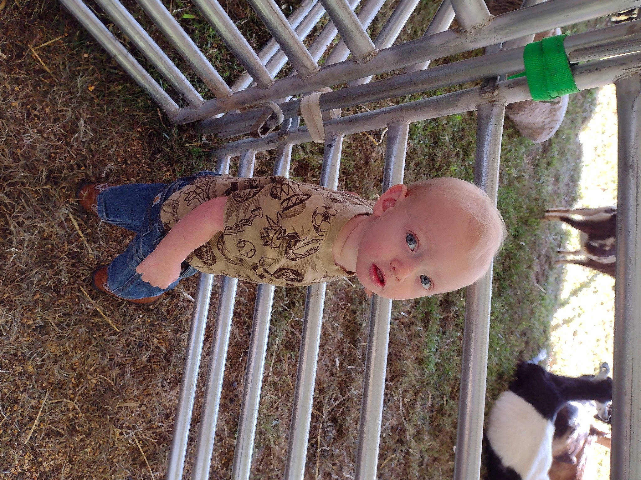 Landyn joined the competition — help win amazing prizes! baby, baby_products, baby_safety, baby_toddler_clothing, child, eye, fun, grass, happy, mammal, pattern, people_in_nature, person, sleeve, smile, soil, surprise, toddler, wood