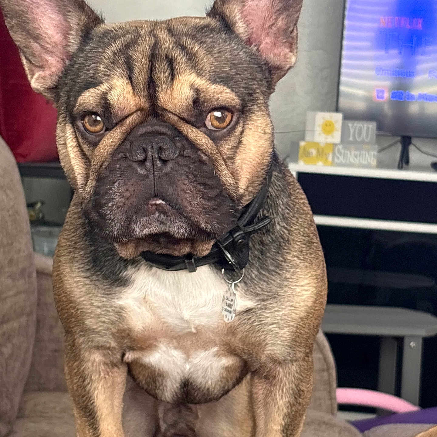Duke