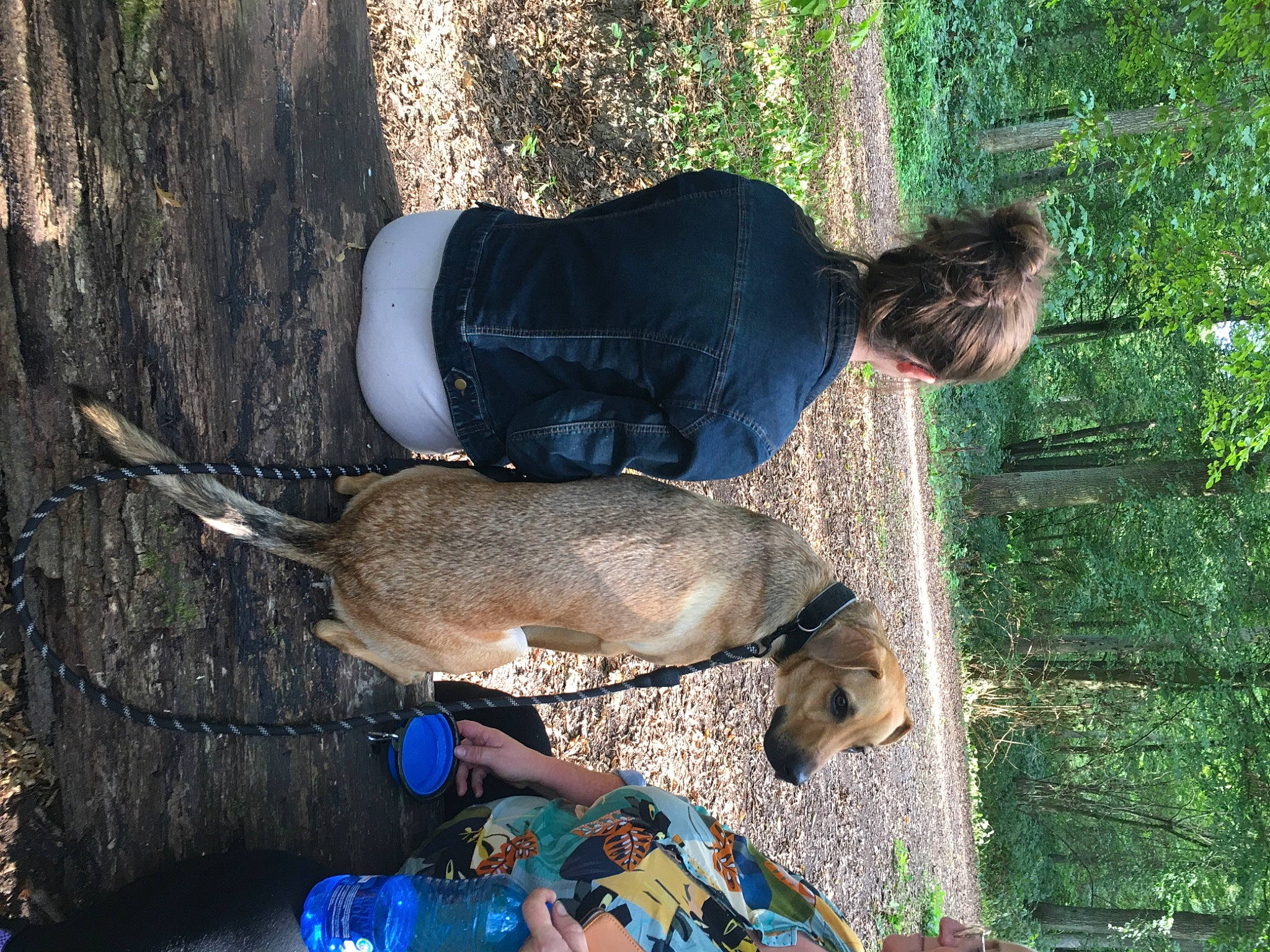 Nintendo a rejoint le concours — aidez-le/la à gagner de superbes lots ! boot, botany, fawn, forest, fun, fur, grass, human_leg, natural_environment, natural_material, people_in_nature, plant, soil, tail, tree, trunk, wildlife_biologist, wood, woodland, working_animal