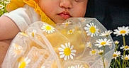 Hazel is registered to the contest to win money with this photo: baby, child, headband, bow, daisy, flower, yellow, outdoor, nature, portrait, cute, infant, face, eyes, soft_light, summer, dress, flora, closeup, garden