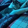 cat, sleeping, blanket, quilt, cozy, resting, indoor, feline, fur, paw, pattern, textile, blue, white, striped, relaxed, comfort, bed, cute, animal