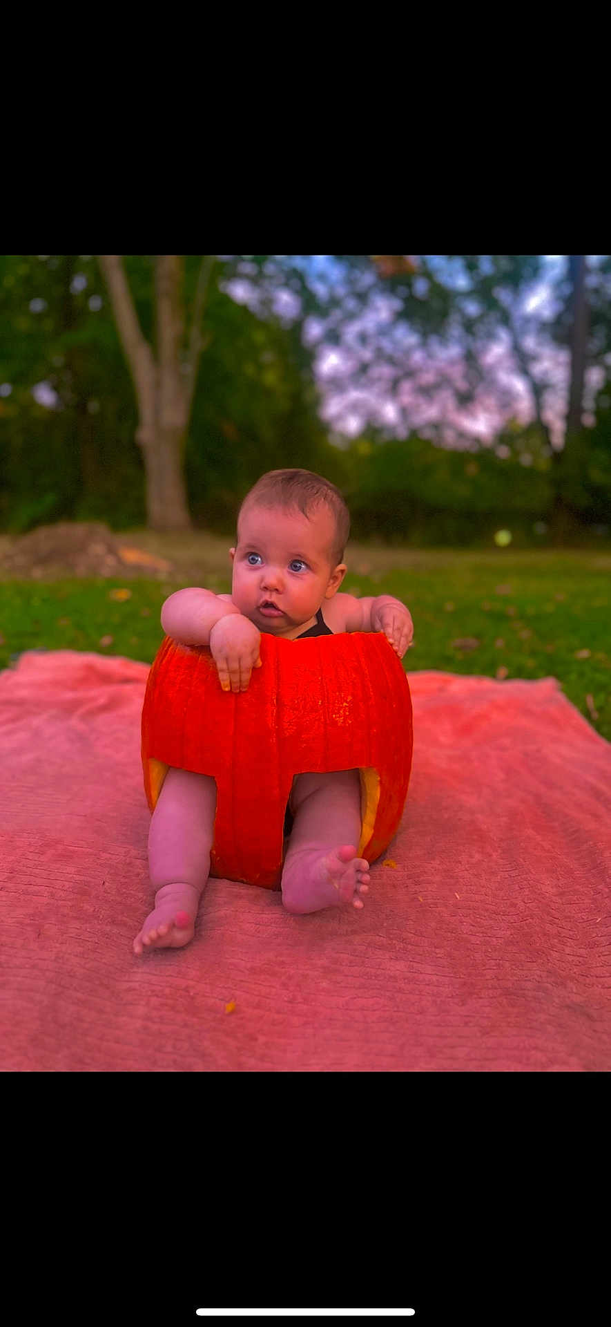 Lakelynn joined the competition — help win amazing prizes! baby, pumpkin, outdoor, blanket, grass, tree, child, fall, autumn, cute, sitting, nature, greenery, infant, seasonal, orange, skin, foot, hand, curious