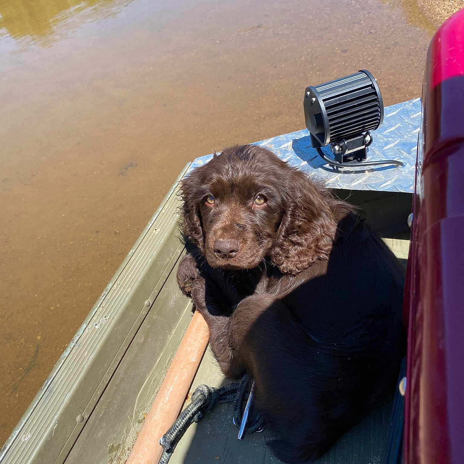 Oakley