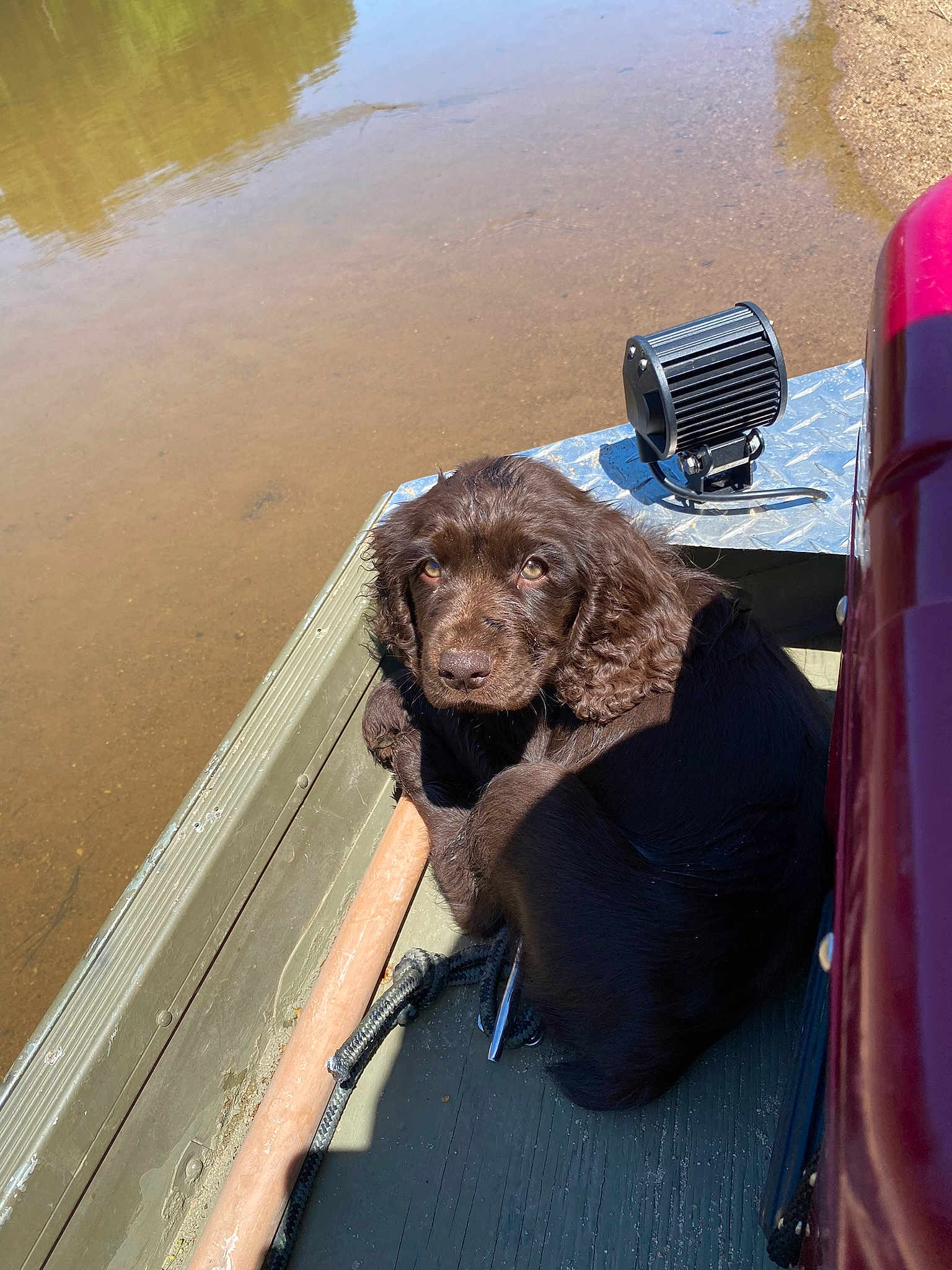 Oakley